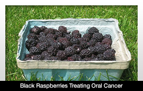 Raspberries May Aid Oral Cancer