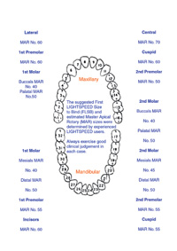 Predictable Endodontic Success The Apical Control Zone - Dentistry Today