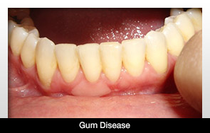 The latest news of GUM