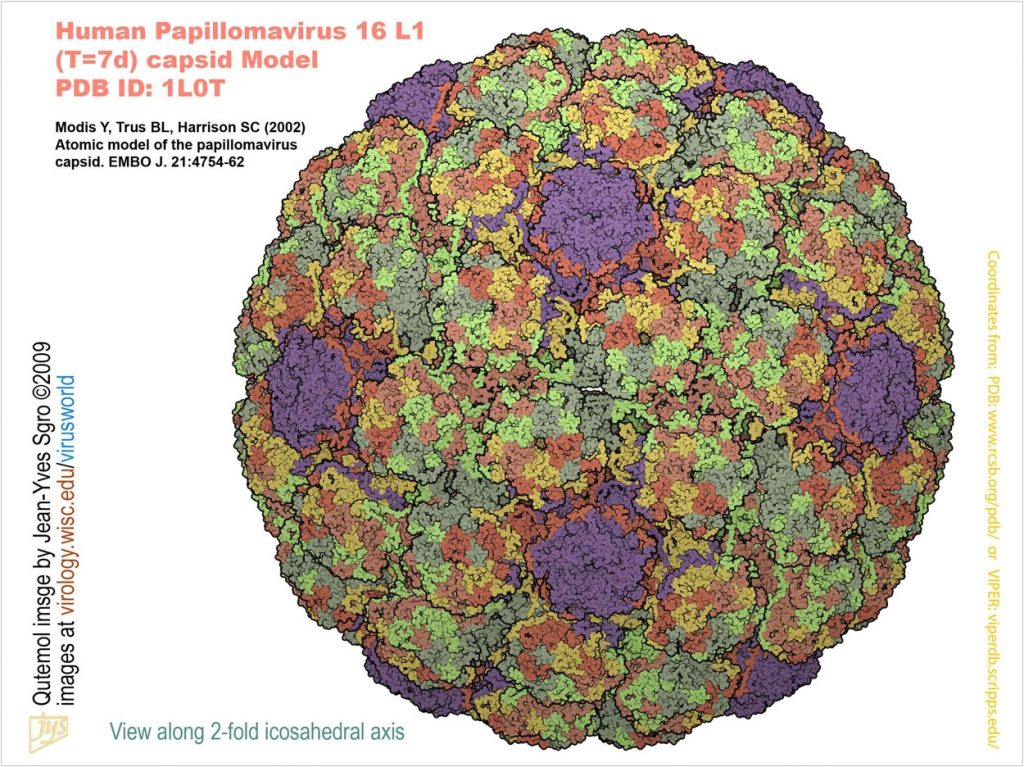 HPV-16 Drastically Increases Oropharyngeal Cancer Risk - Dentistry Today