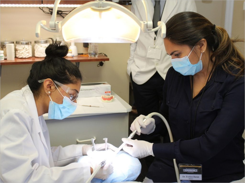 Aspiring Dentists Get Hands-on Experience - Dentistry Today