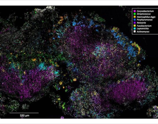 Jessica Mark Welch and Gary Borisy, PNAS.1522149113