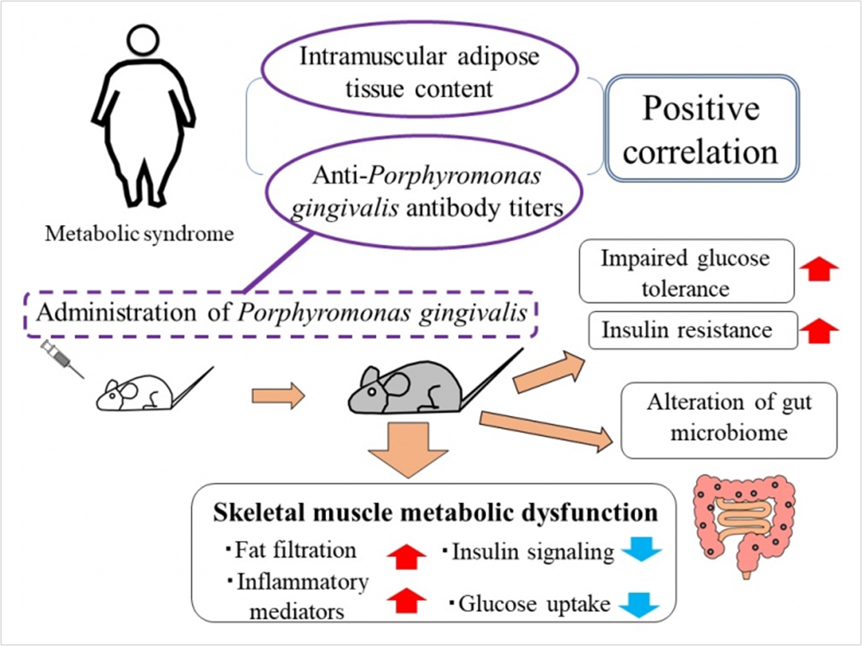 Poor Oral Hygiene May Lead to Metabolic Syndrome - Dentistry Today