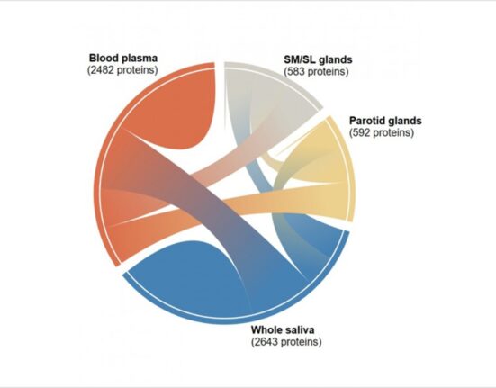 National Institute of Dental and Craniofacial Research