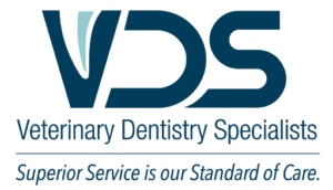 veterinary dentistry specialists