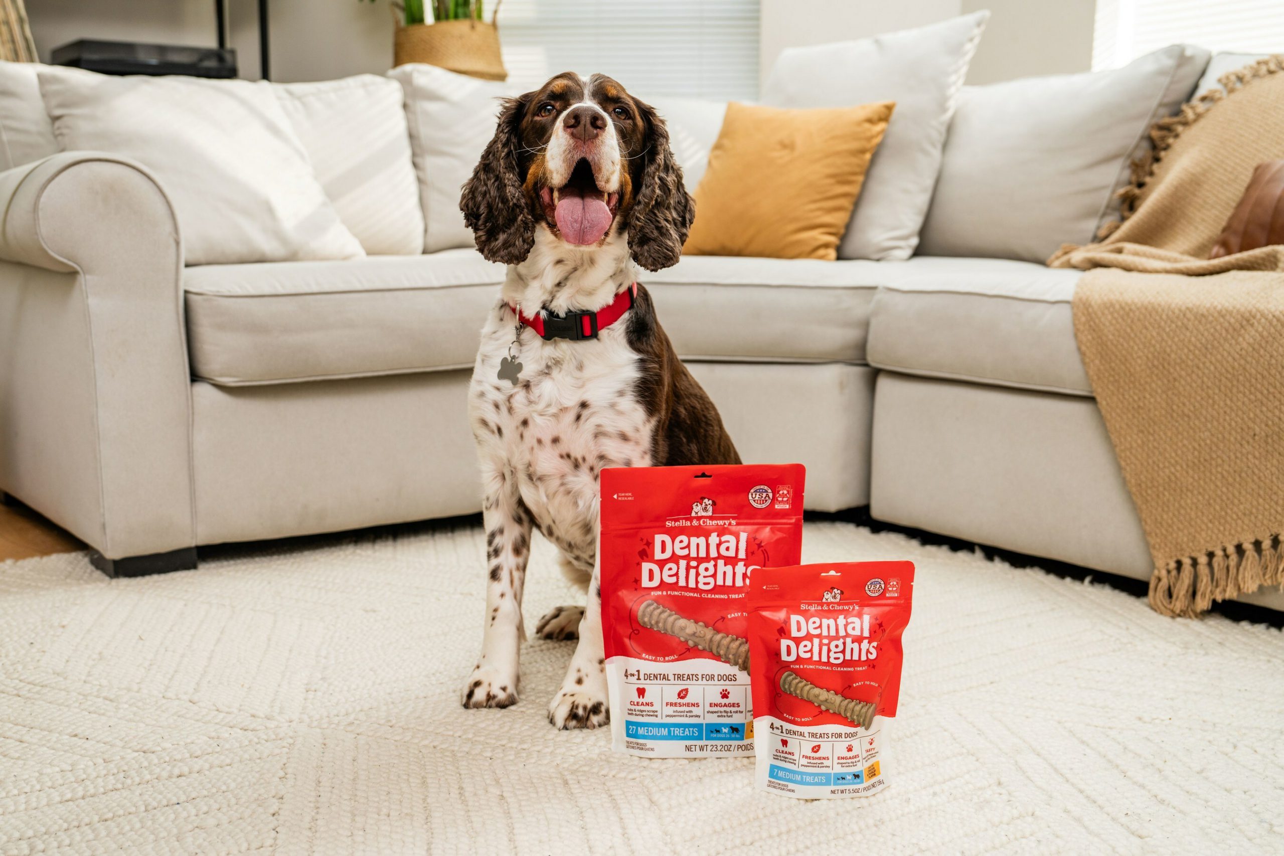 Stella & Chewy's Launches New Dental Treats Promoting Canine Oral 