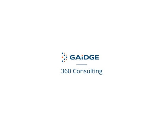 gaidge 360 consulting, Andrea cook consulting partners